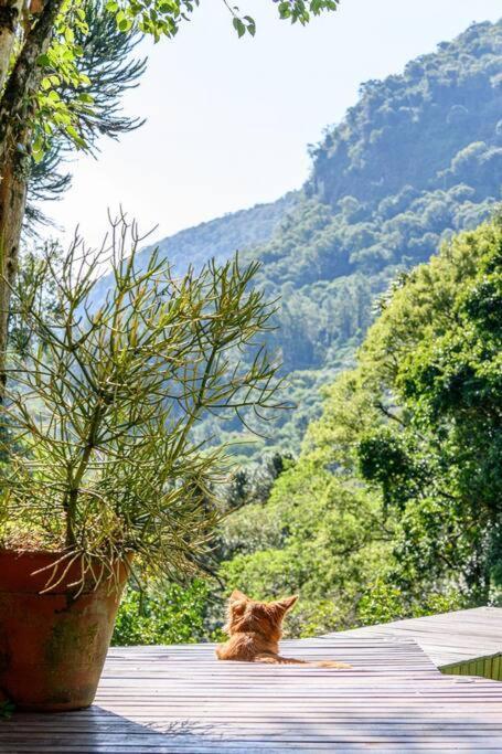 Atelie - Pousada Nacarapina Sao Francisco de Paula  Bagian luar foto